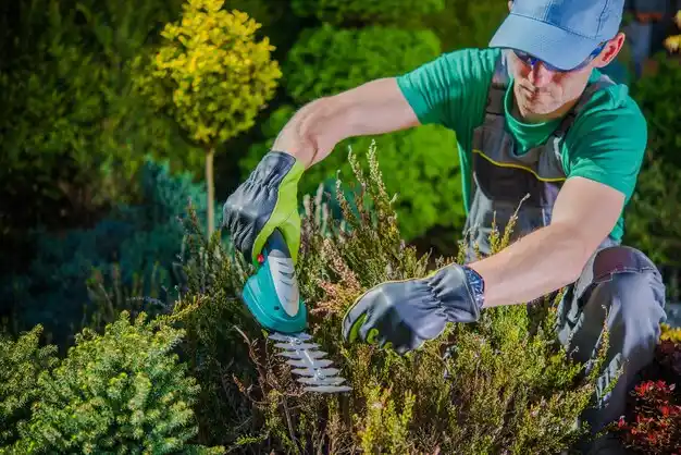 landscaping services Dansville